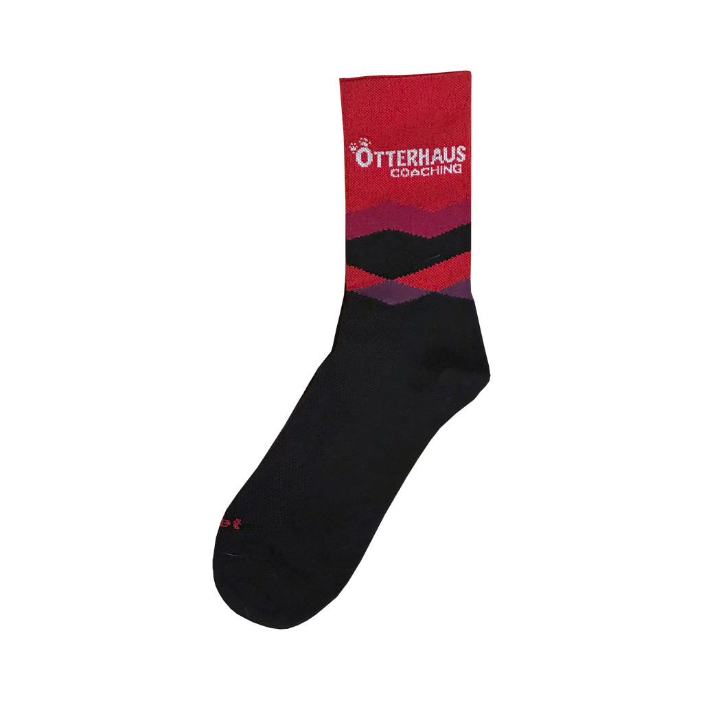 Otterhaus Coaching DeFeet Aireator 6" Sock